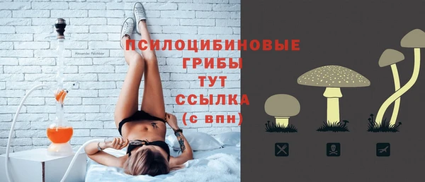 прущий лед Гусь-Хрустальный