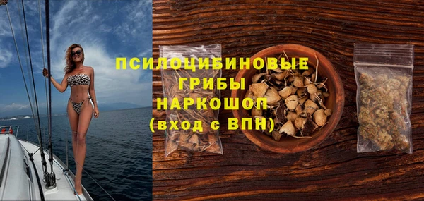 прущий лед Гусь-Хрустальный