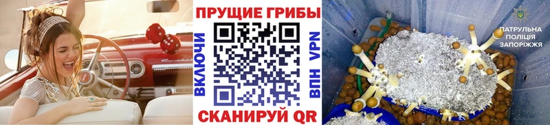 Псилоцибиновые грибы GOLDEN TEACHER  MEGA зеркало  Назарово 
