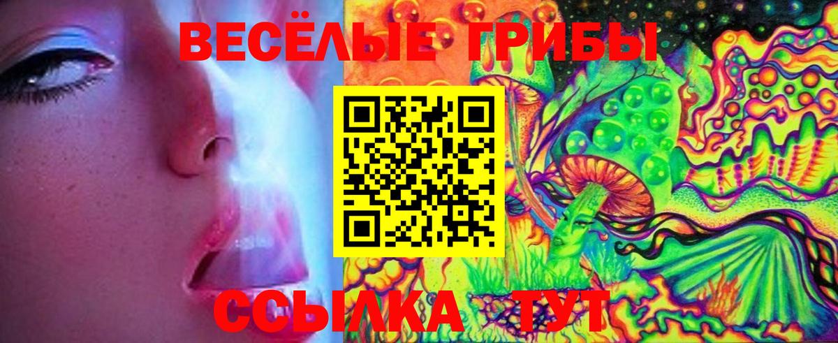 Галлюциногенные грибы Cubensis  Назарово 